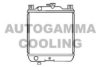 AUTOGAMMA 102339 Radiator, engine cooling